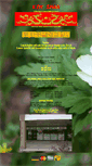 Mobile Screenshot of kimshan.com